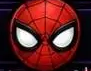 Cosplay Spiderwoman